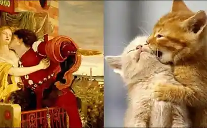 Cats and art