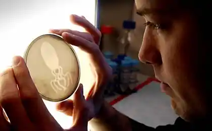 Todo lo que necesitas saber sobre las bacterias