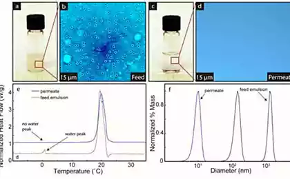 Исследователи нашли эффективный способ очистки воды от масла