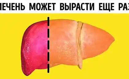 8个证明你的身体是完美的机器