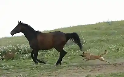 А теперь ты води!