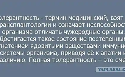 Толстячки