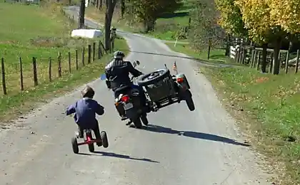 Весь в деда