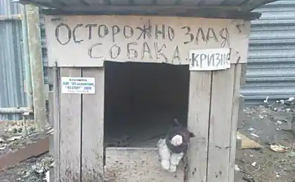 Спостереження в кризі (2 фото)