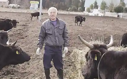 Радіоактивний Людина: Naoto Matsumura, який ніколи не залишив Fukushima