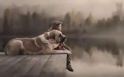 Basic trust in the world is a prerequisite for a happy life