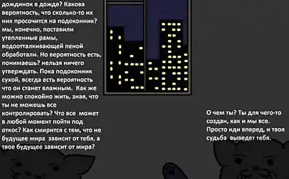 Разные взгляды на жизнь