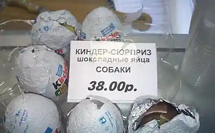 Яйценесущие собаки