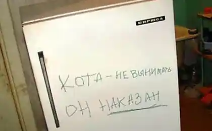 Надписи на холодильнике