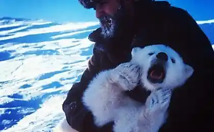 Спасение белого медвежонка из капкана.