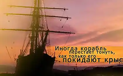 Цікаві котирування на кожен день