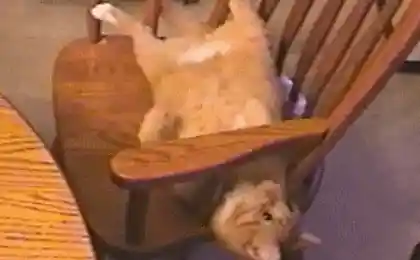 Мое место