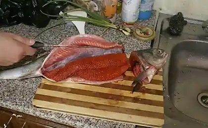 Золотая рыбка . Купил кету за 250 рублей . А в ней - икры на 1000 рублей .