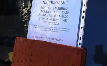 Моя машинна голка