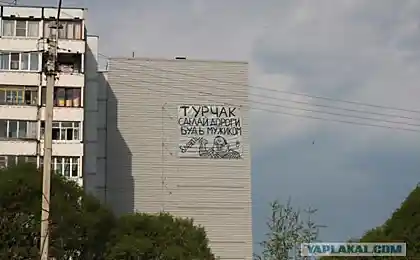 Плакат для губернатора