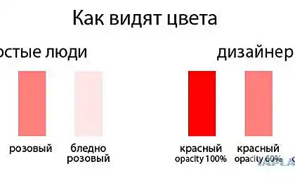 Цвет как он есть с разной точки зрения