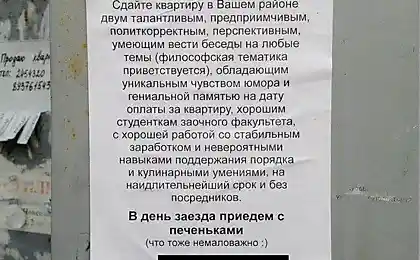 Вот это объявление о съеме квартиры!