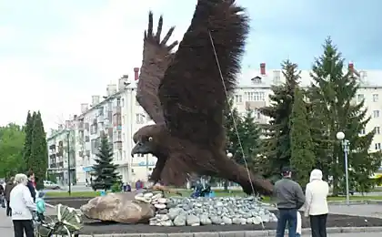 Орел (5 фото)