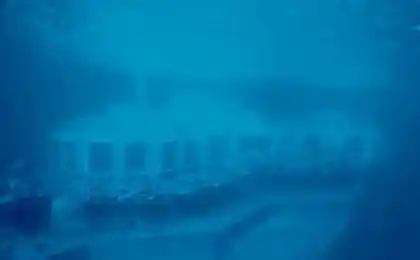 Час. .