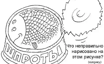 Забавные головоломки, осилите?:)