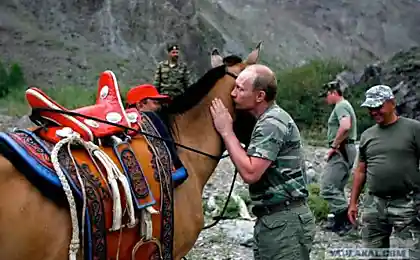Путин целует лошадь.