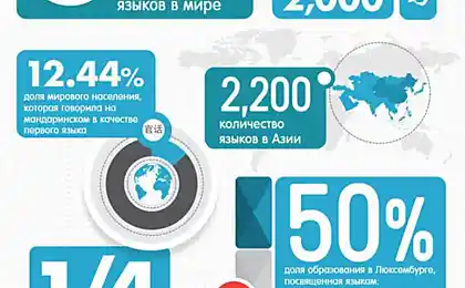 Когнітивні факти про мови