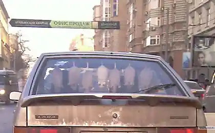 А что у Вас под задним стеклом ?