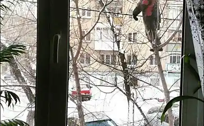 Дети — это весело!