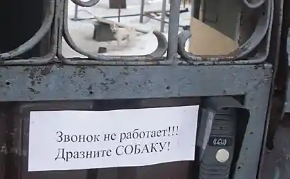 Если не работает звонок