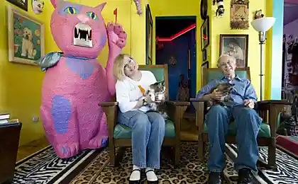 Кошачья квартира (4 фотографии)