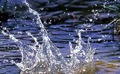 Підводний мисливець