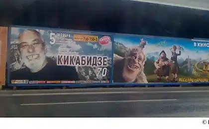 Свіжий вибір марасмусу (62 фото)