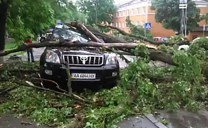 Ответ на вопрос почему нельзя парковаться на тротуарах!