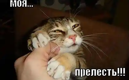 Моя прелесть