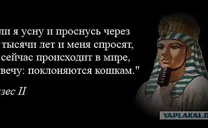 Как говорил Рамзес...