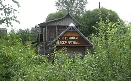 Дача Маклауда