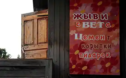 Жыви Света