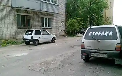 Squirrel і стрілка
