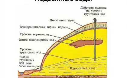 Как найти воду для скважины: разбираем три эффективных способа поиска