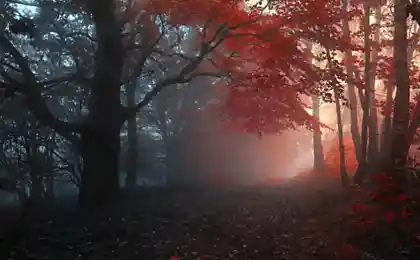 Пейзажная фотография Янека Седлара (Janek Sedlar)