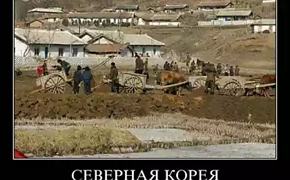 Пять дней в Северной Корее