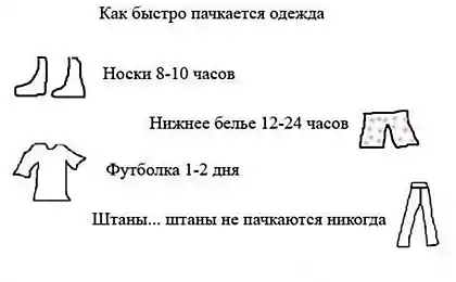 Штаны - это святое