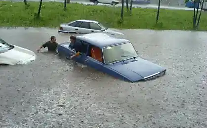 Repithicia універсальний паводок
