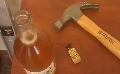Головна начиння від імпровізованих засобів (10 фото)