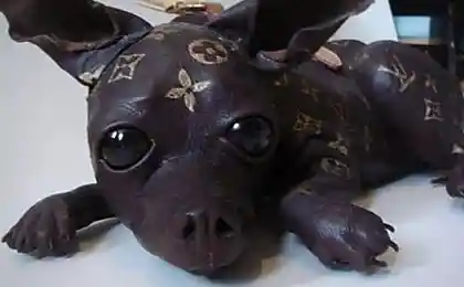 Сумочка-кошмарик