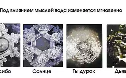 САМЫЙ СМЕРТЕЛЬНЫЙ И ОПАСНЫЙ ЯД НА ЗЕМЛЕ!