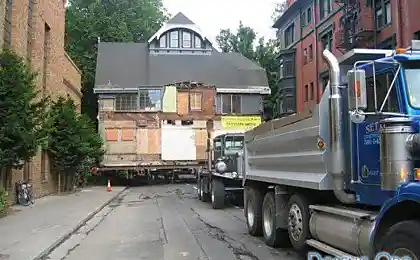 Люди так старались, срезали деревья, но все равно не смогли пролезть