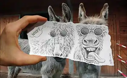Карандаш и фотоаппарат