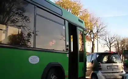 Гламурная киска подрезала большой автобус