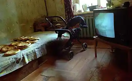 Жизнь эмигрантов (22 фото)